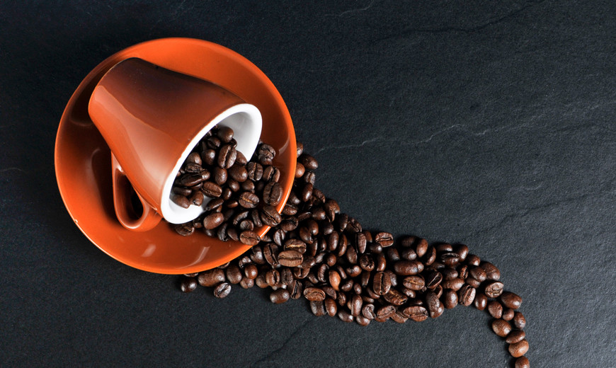 Nullam ullamcorper nisl quis ornare molestie